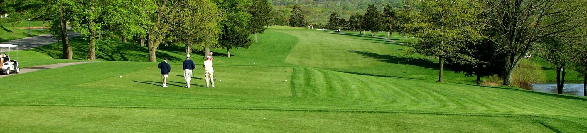 Open fairway with golfers on the left